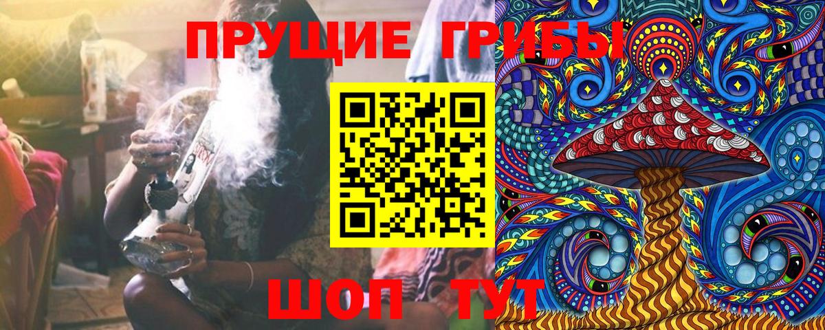 Галлюциногенные грибы Psilocybe  Вход с VPN  Аша  Галлюциногенные грибы мухоморы 